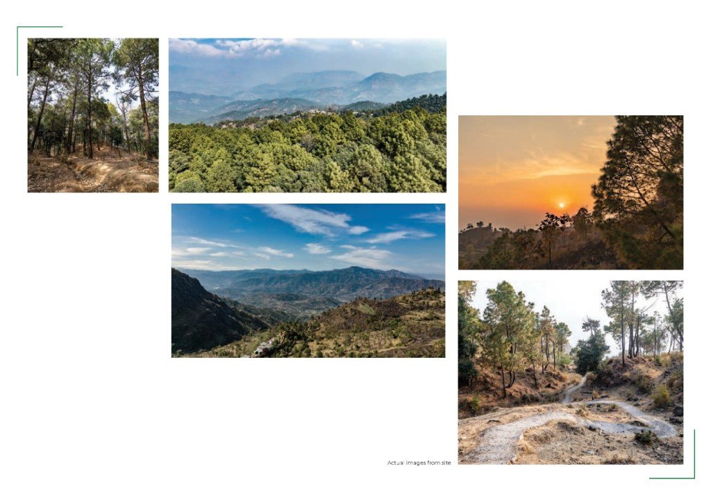 Pine forest, mountain views and sunset at Terra Grande Sirmaur